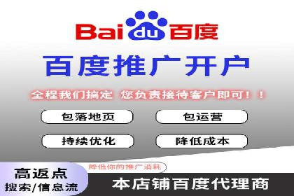 大型企业SEM外包实战案例